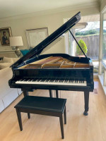 Young Chan Grand Piano