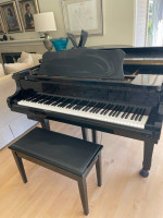 Young Chan Grand Piano