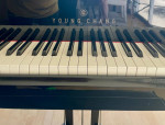 Young Chan Grand Piano