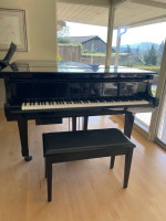 Young Chan Grand Piano