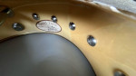 Traveller  Banjo