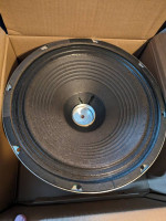 Sunn Guitar Transducer 12" Speakers