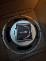 Sunn Guitar Transducer 12" Speakers