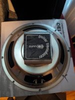 Sunn Guitar Transducer 12" Speakers