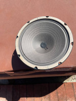 Jensen Reissue J10P Speaker