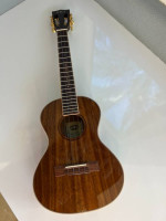 Kala KA-KTG Tenor - New in Box