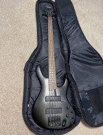 Ibanez Ergodyne Bass EDB600