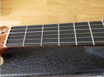 Taylor NS32 Nylon Strings Acoustics Guitar