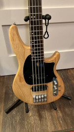 Amazing Schecter 5 String bass
