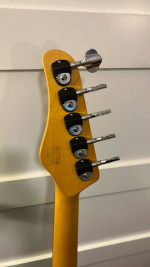 Amazing Schecter 5 String bass