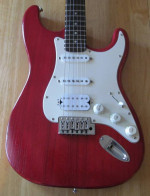 Strat w/gig bag