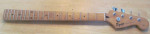 Fender/ Squire Short Scale Bass Neck