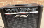 PEAVEY RAGE 158 Dual-Channel 15w Guitar Amp 1990's Original Owner
