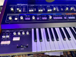 Roland Jupiter 6 in amazing condition