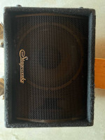 Stage Speaker Passive