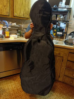 SOLD...#227.. Cello or Bass????
