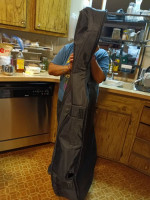 SOLD...#227.. Cello or Bass????