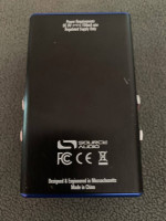 Source Audio Gemini chorus pedal