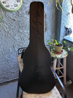 Taylor 310