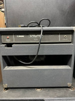 Traynor TS-25 combo