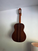 Alhambra 9p Classical Guitar nylon string