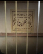 Pre-owned Esteban AL-100 Guitar