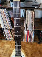 83 Tokai TFV
