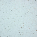 Stunning blue acoustic tiles