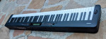 Casio CDP-S350 Graded 88-Hammer Action Stage Piano 🎹