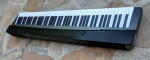 Casio Privia 88-Weighted Hammer-Action Piano USB Keyboard 🎹