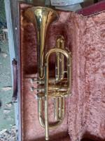 Vintage Pan American Cornet