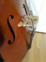 Upright Bass