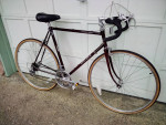 A Beauty...Univega "Maxima Sport"