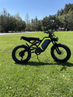 Awesome E Bike with Full Suspension and 1500 Watt motor