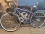 Redline Conquest Sport Gravel Bike