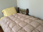 Antique Fainting Sofa/Bed and Chair