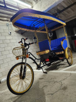 Fully Electric Bicycle Rickshaw Pedicab Carriages