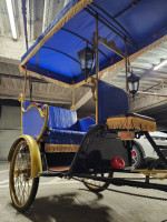 Fully Electric Bicycle Rickshaw Pedicab Carriages