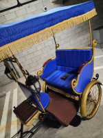 Fully Electric Bicycle Rickshaw Pedicab Carriages