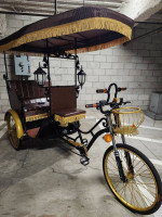 Fully Electric Bicycle Rickshaw Pedicab Carriages