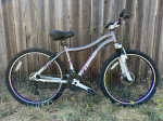 Genesis Mountain Bike