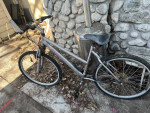 Adult Bike Gray
