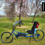 Recumbent