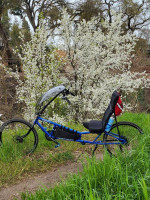 Recumbent