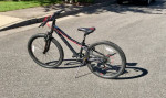 Haro Flightline 20