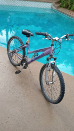Schwinn traverse girls 24-in 21 speed mountain bike used