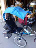 Recumbent trike