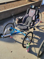 Recumbent trike