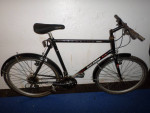 Raleigh USA Technium Instinct