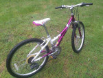 Trek MT220 24" Bike Bicycle Womens Teens